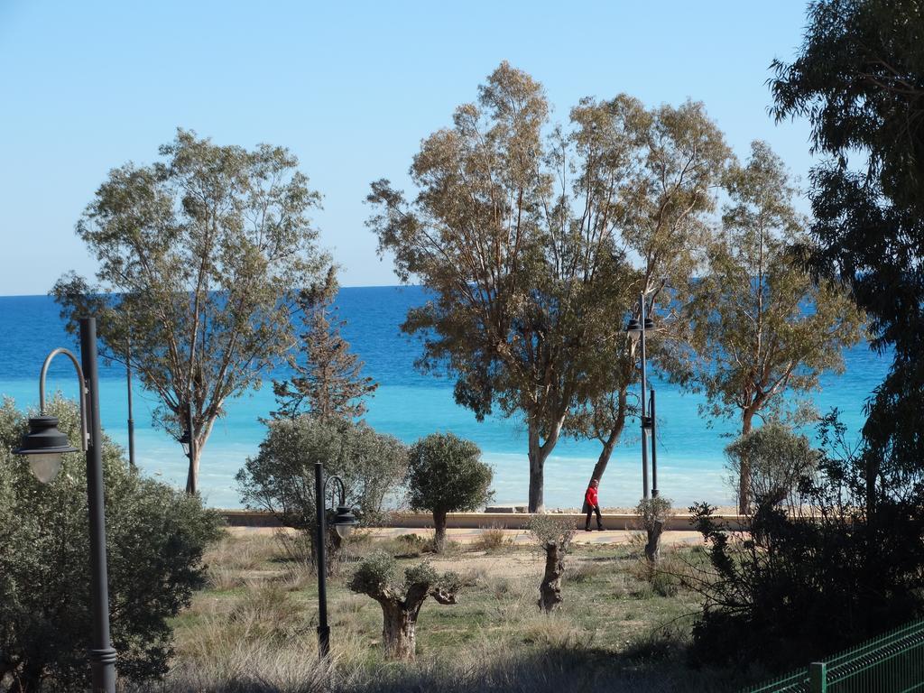 Camping El Torres 比利亚霍约萨 外观 照片